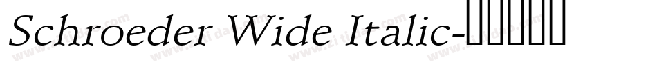 Schroeder Wide Italic字体转换